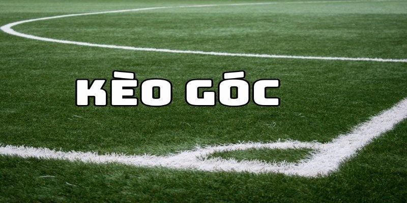 Kèo phạt góc là tỉ lệ cược được lựa chọn nhiều nhất